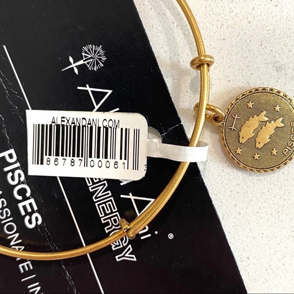 NWT Alex and Ani PISCES Zodiac Russian Gold Astrology Energy Bracelet - Picture 6 of 6